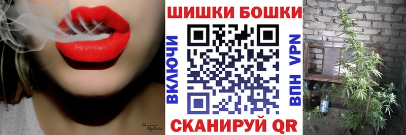 Наркотические вещества Снежногорск Галлюциногенные грибы  СК  ГАШИШ  Бошки Шишки 