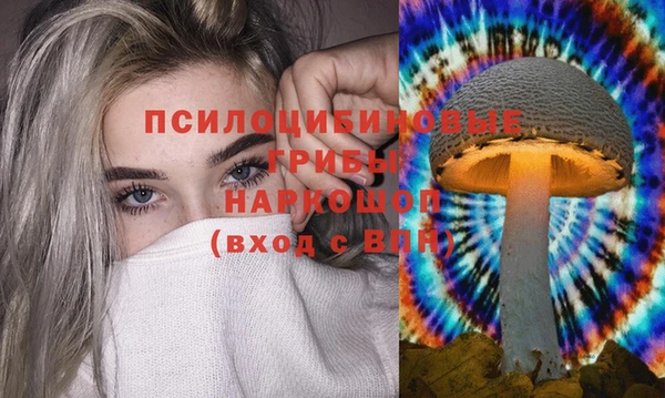 ГАЛЛЮЦИНОГЕННЫЕ ГРИБЫ Алексин