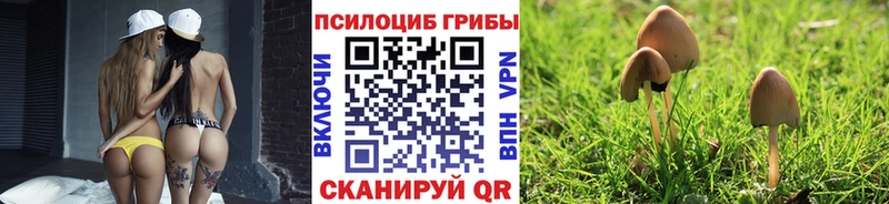 Галлюциногенные грибы GOLDEN TEACHER  Снежногорск 